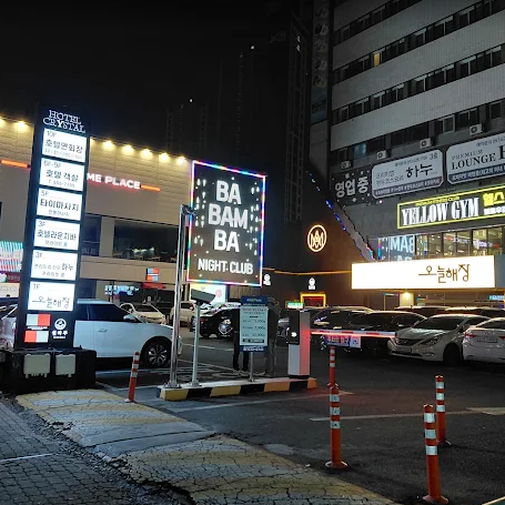대구 바밤바 나이트 종합 가이드: 룸 테이블 가격 웨이터 후기 전화번호