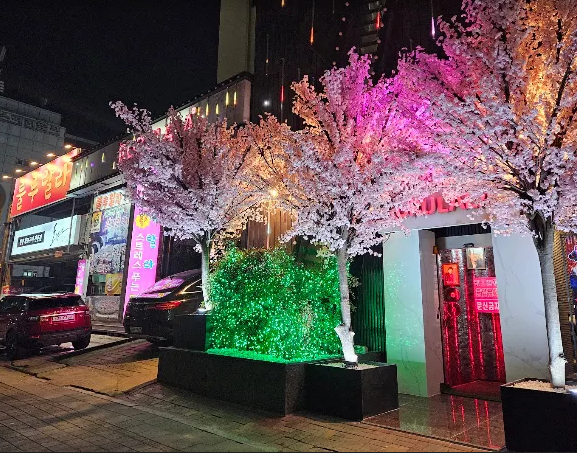 대구 룰루랄라 종합 가이드: 룸 부스 가격 주대 웨이터 후기 안내